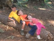 8.26-27.06 Twin Lakes & Palmateer Point 126 